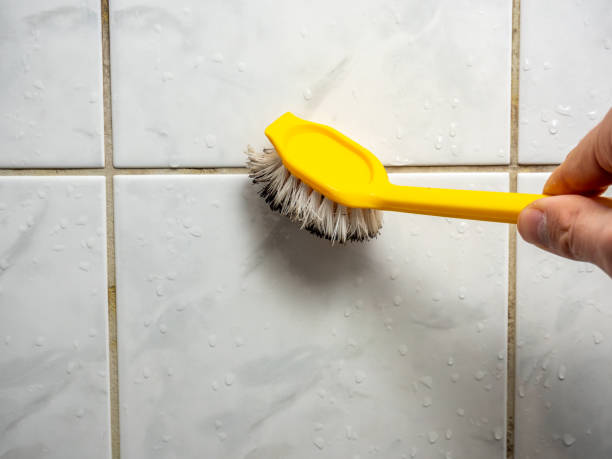 Best Mold Cleaning Services  in University Heights, IA
