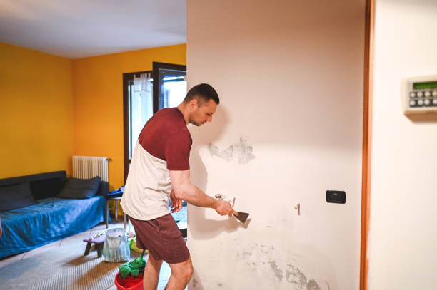 Best Mold Damage Repair  in University Heights, IA